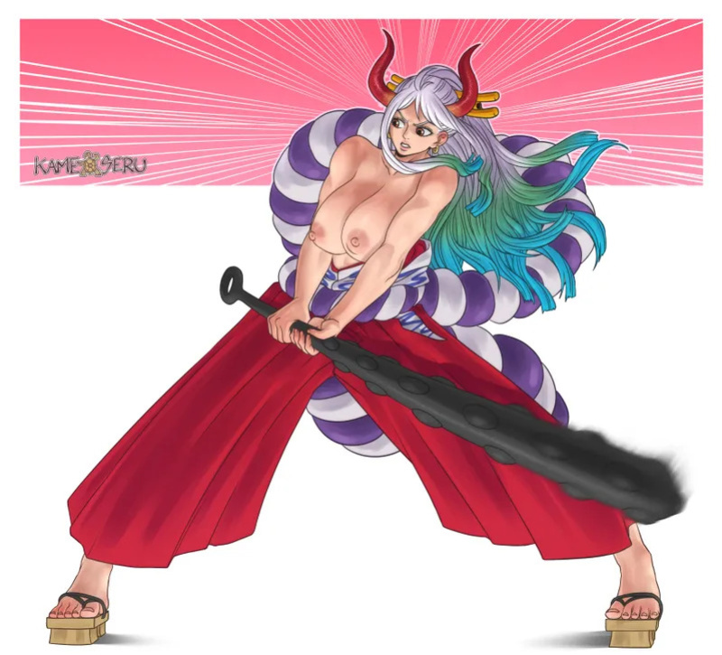[Kameseru] One Piece Collection