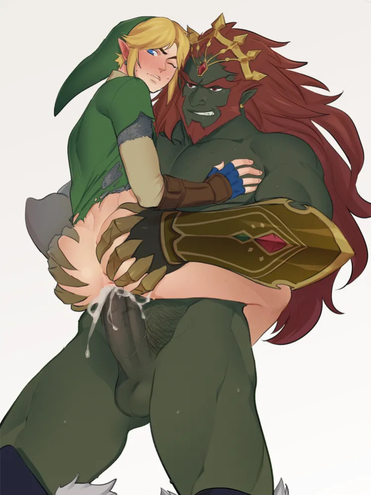 [Kukumomo] The Legend of Zelda collection