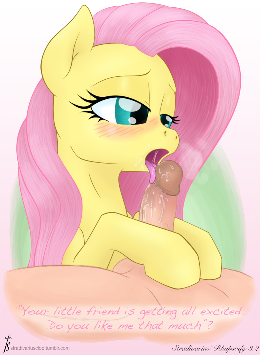 [Stradivarius] Fluttershy (My Little Pony: Friendship is Magic)