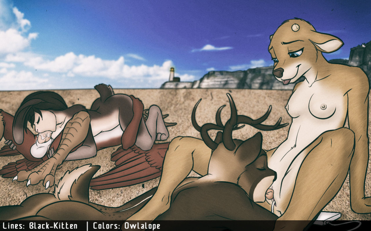 [Black-Kitten] Beach Trip