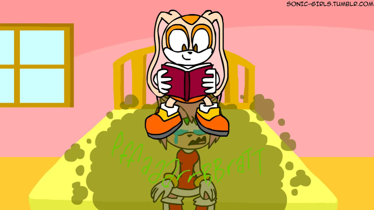 [AnimatedJames] Sonic Girls
