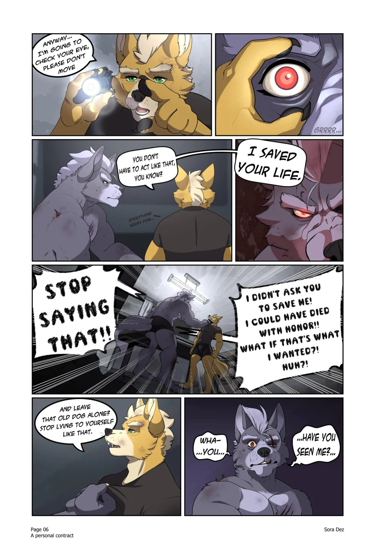 [Sora Dez WolFox] A Personal Contract
