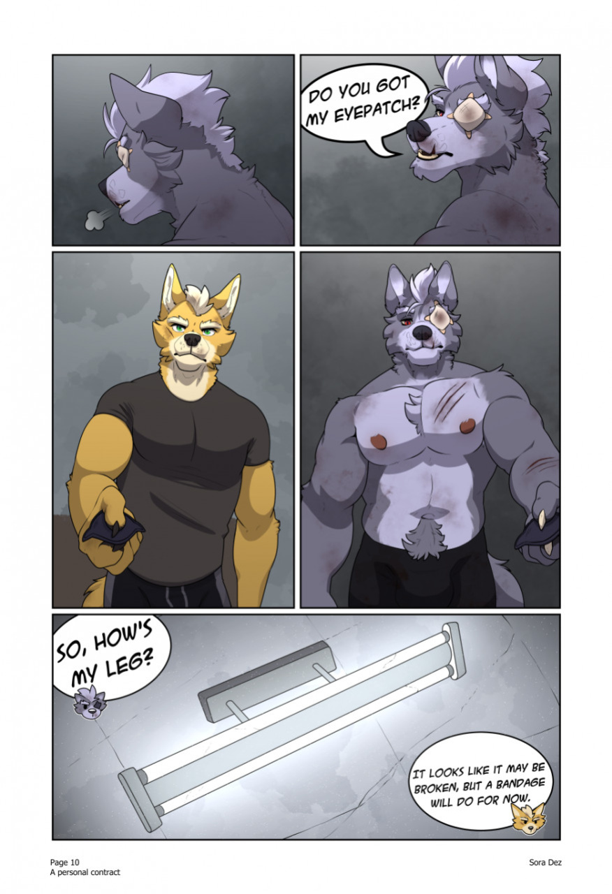 [Sora Dez WolFox] A Personal Contract