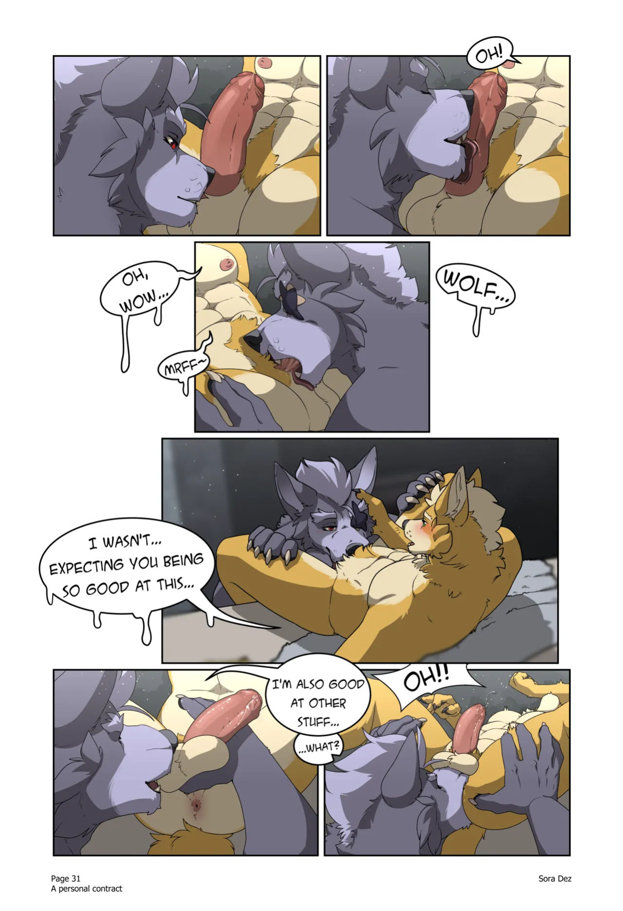 [Sora Dez WolFox] A Personal Contract