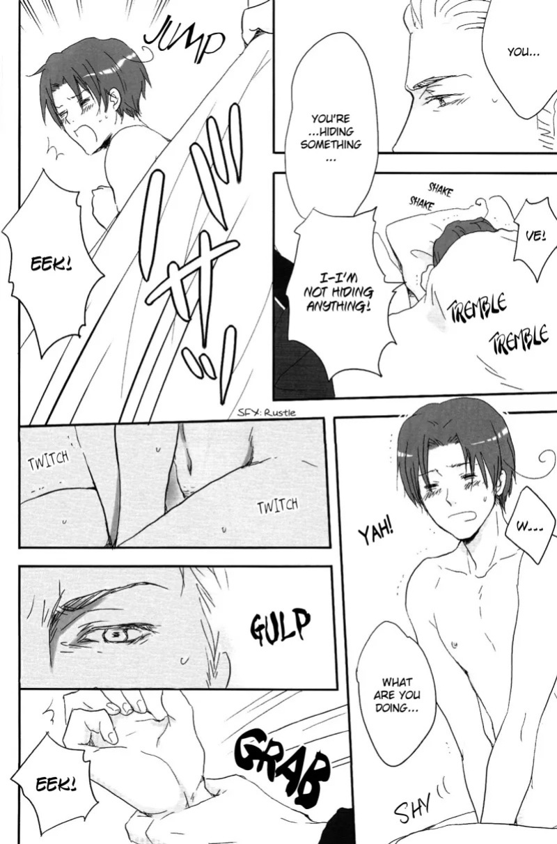 [Nikushoku Shounen (Kozakura Shou)] Kenka no Ato de (Axis Powers Hetalia) [English]