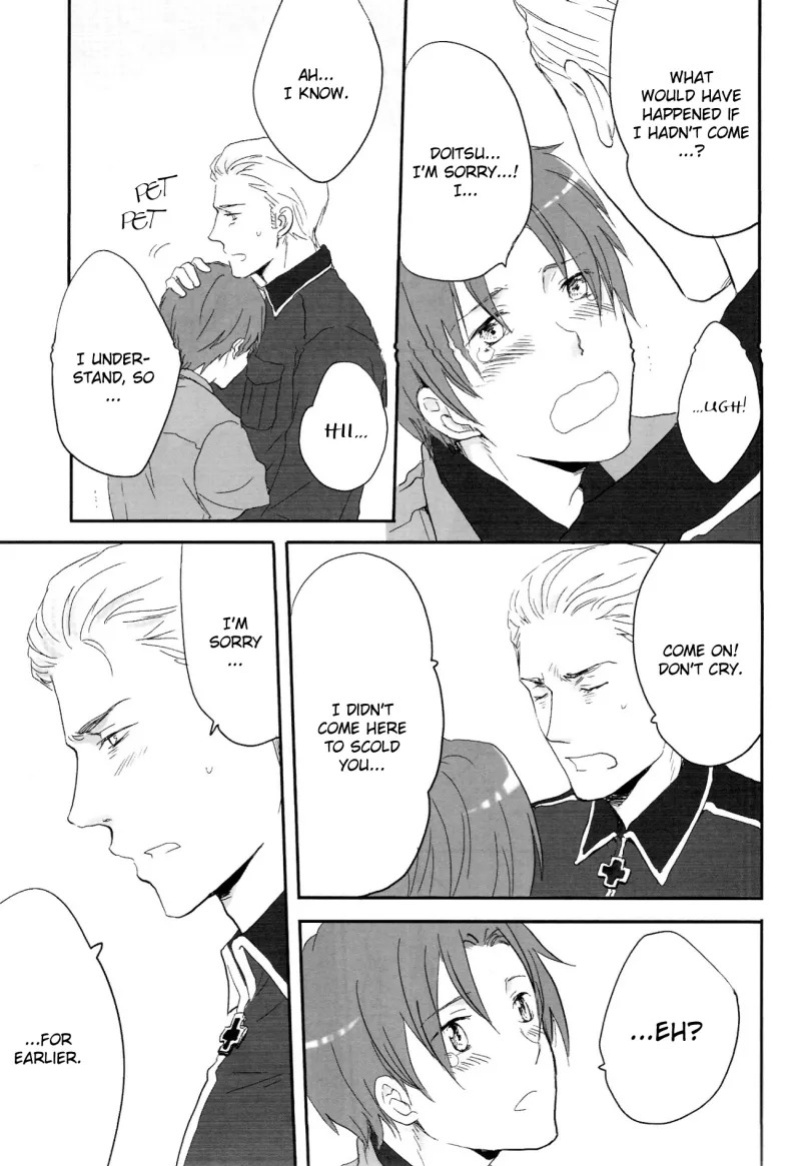 [Nikushoku Shounen (Kozakura Shou)] Kenka no Ato de (Axis Powers Hetalia) [English]