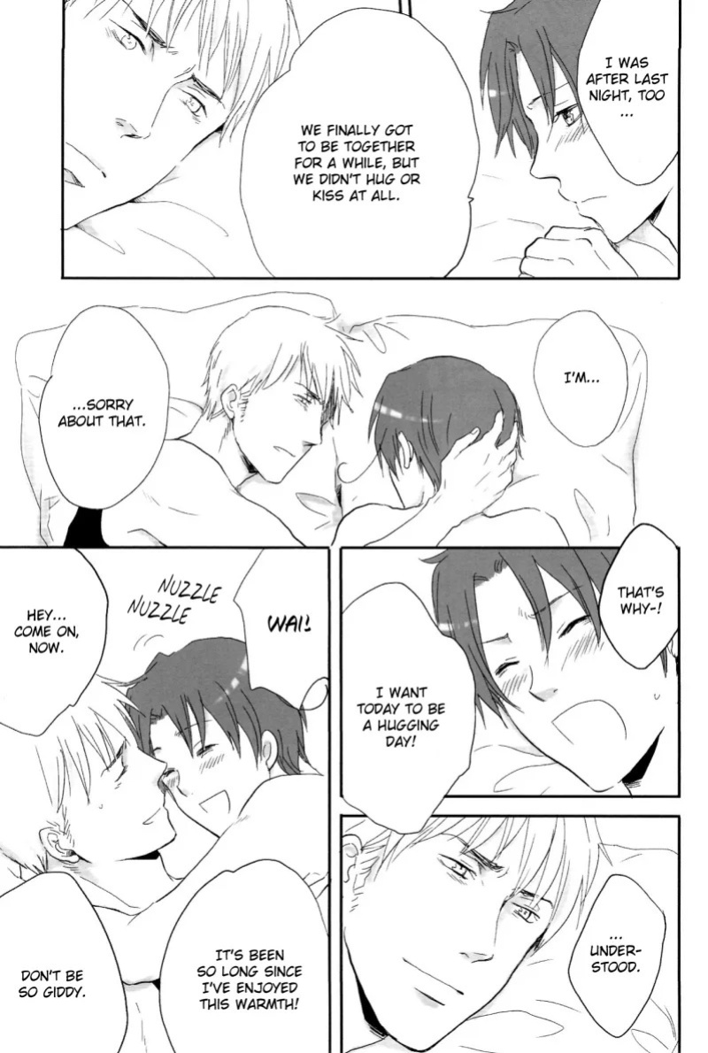 [Nikushoku Shounen (Kozakura Shou)] Kenka no Ato de (Axis Powers Hetalia) [English]