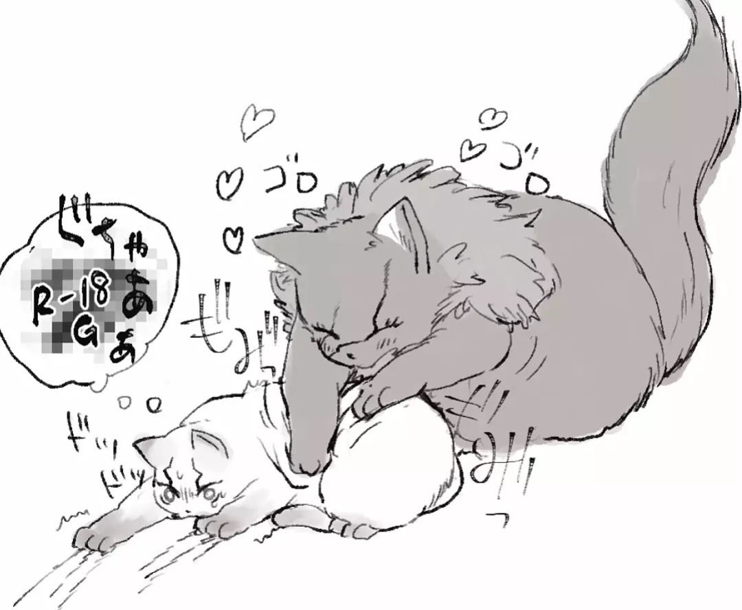 [kurowa] TsukaSen Log (Dr.STONE)