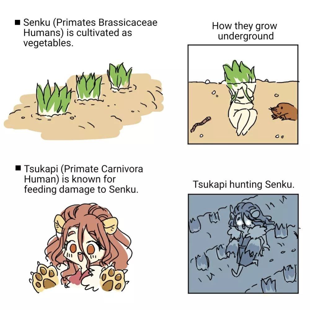 [K] TsukaSen Log (Dr.STONE)