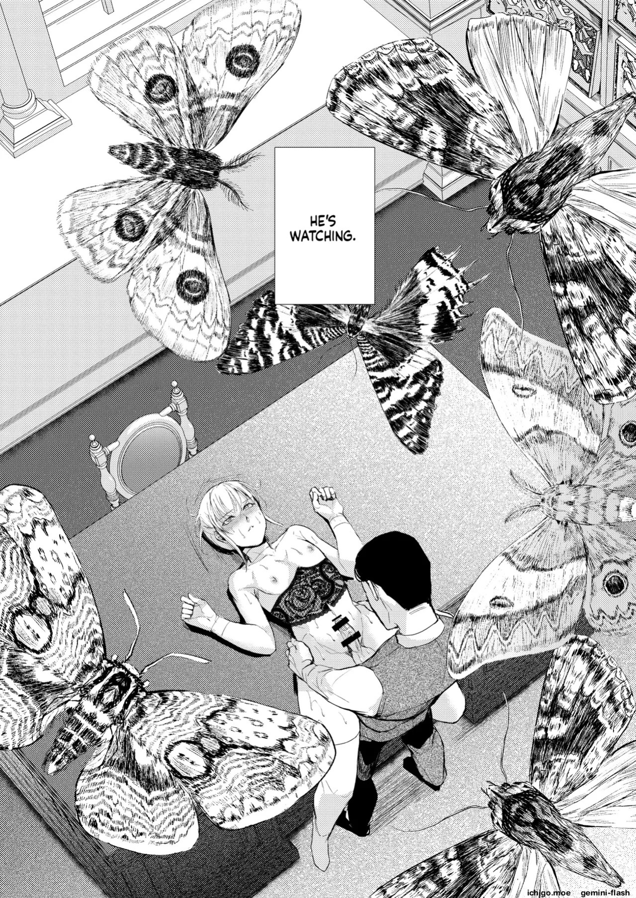 [locon] 藤屋敷の標本