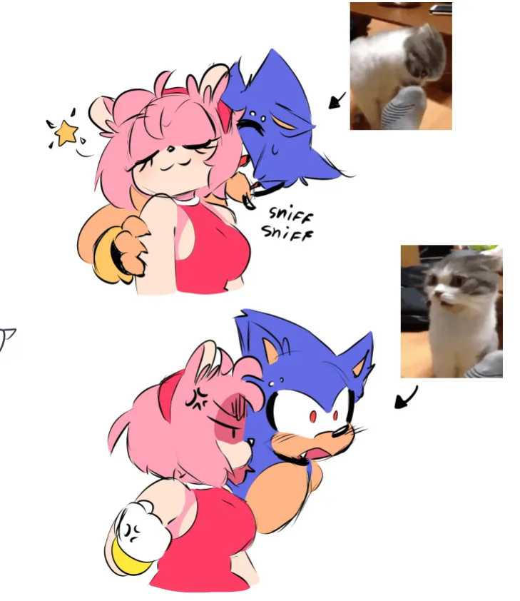 [QuaverDraws (QuaverNSFW)] Metamy (Metal Sonic x Amy Rose)