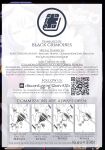 (C95) [FONETRASON (Ryutou)] Raygis Valicess Elsain "Jainkyou no Chigyaku Yuugi" [Black Grimoires]