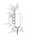 [Tomi Ungerer] Erotoscope [english][german][french] [Regdul]