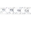 [Tomi Ungerer] Erotoscope [english][german][french] [Regdul]