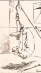 DRAWS
