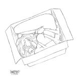 DRAWS