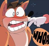 [CaptainKirb] Coco XMAS (Crash Bandicoot)