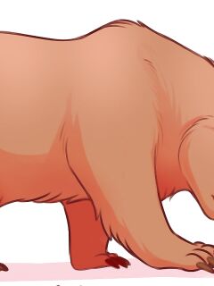Bear Bimbofication