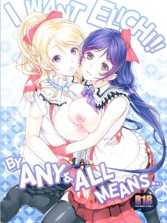 (C84) [Yabitsutouge (Ootori Mahiro)] Nozomi wa Doushitemo Erichi to Sex ga Shitai!! | I Want Elichi!! By Any and All Means... (Love Live!) [Saint Quartz Scans]