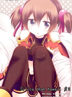 [Suiteibuin (Akane So-ichi)] Silica chan kawaii β2 (Sword Art Online)