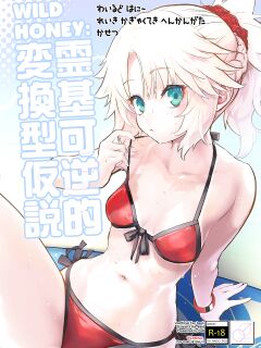 [Peθ (Mozu)] WILD HONEY Reiki Kagyakuteki Henkangata Kasetsu (Fate Grand Order) [desudesu]