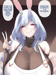 [Aster_C] Pekomami