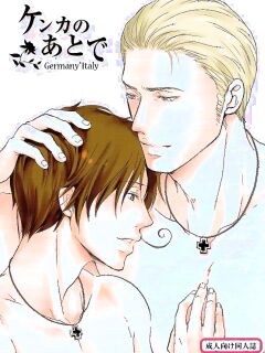 [Nikushoku Shounen (Kozakura Shou)] Kenka no Ato de (Axis Powers Hetalia) [English]